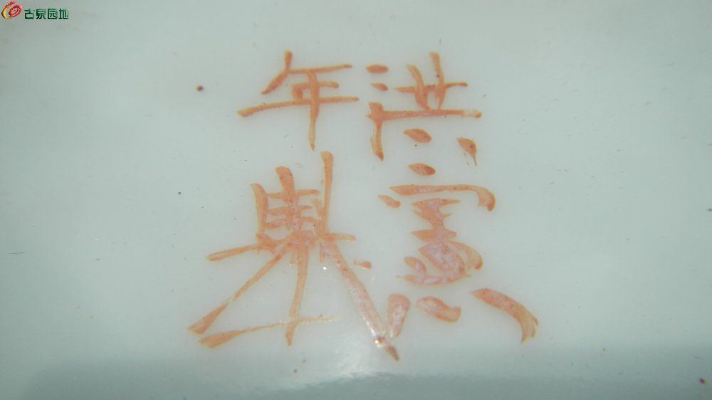 DSCN1305.JPG