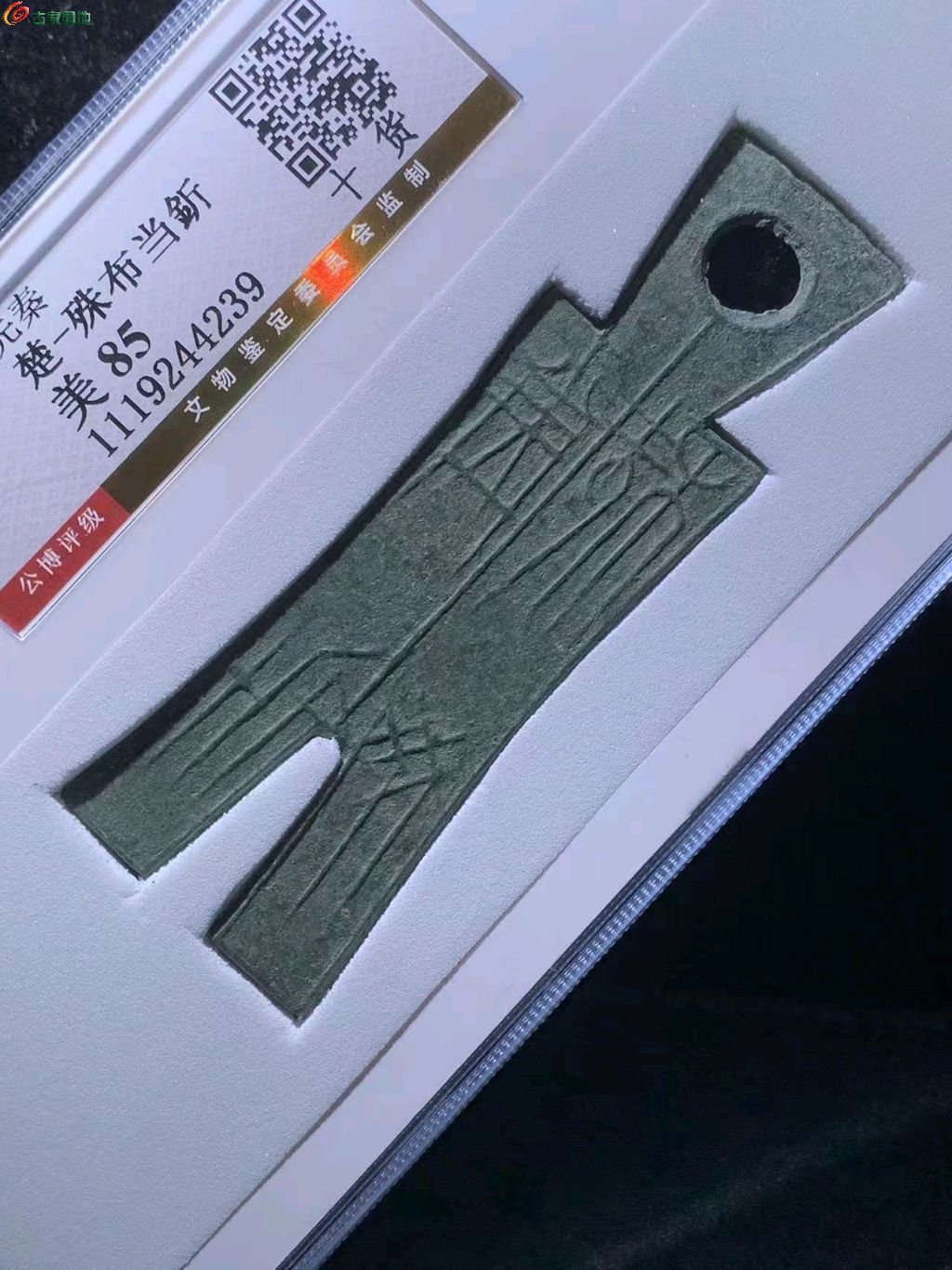图片点击可在新窗口打开查看