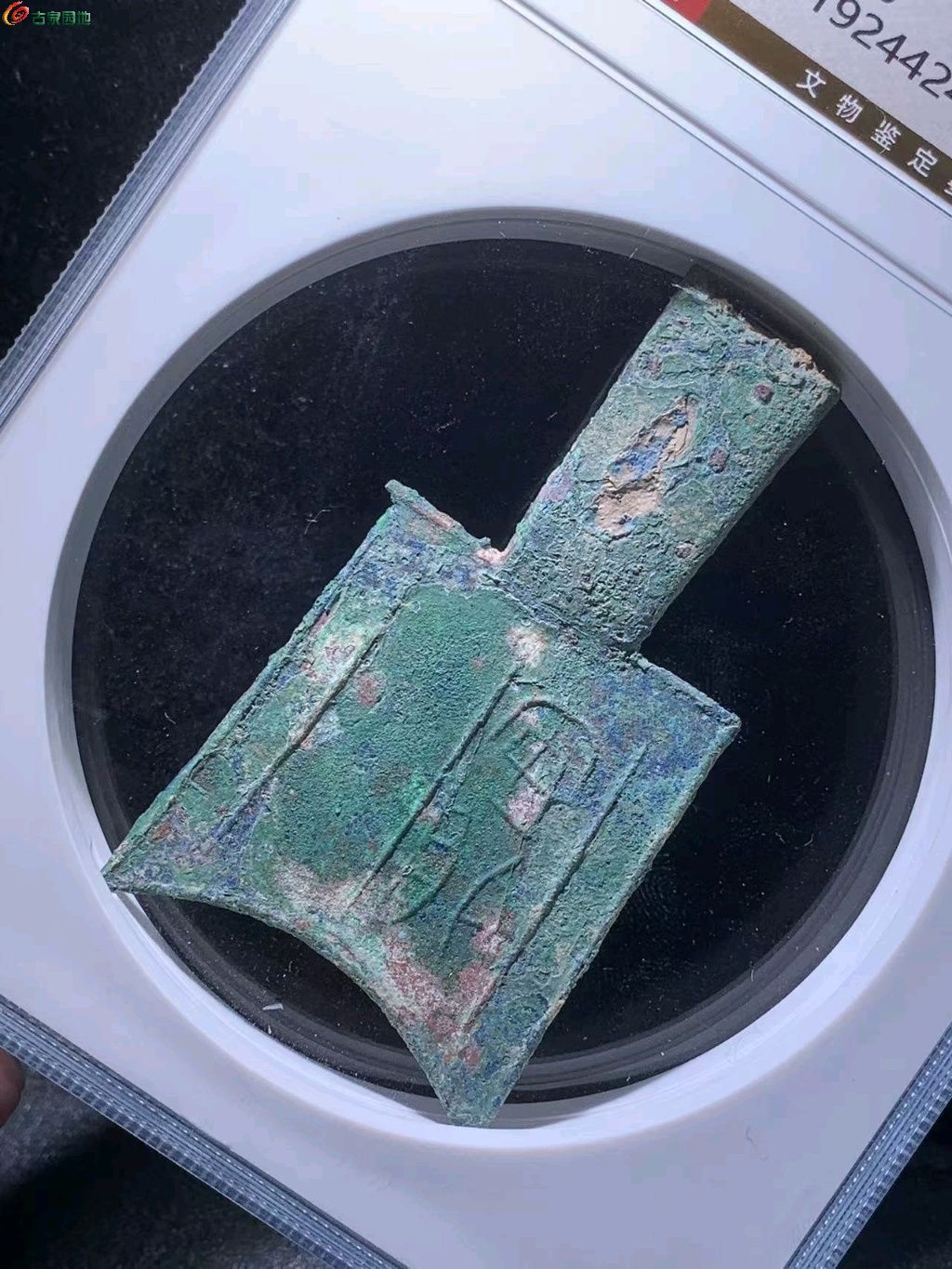 ͼƬ´ڴ򿪲鿴