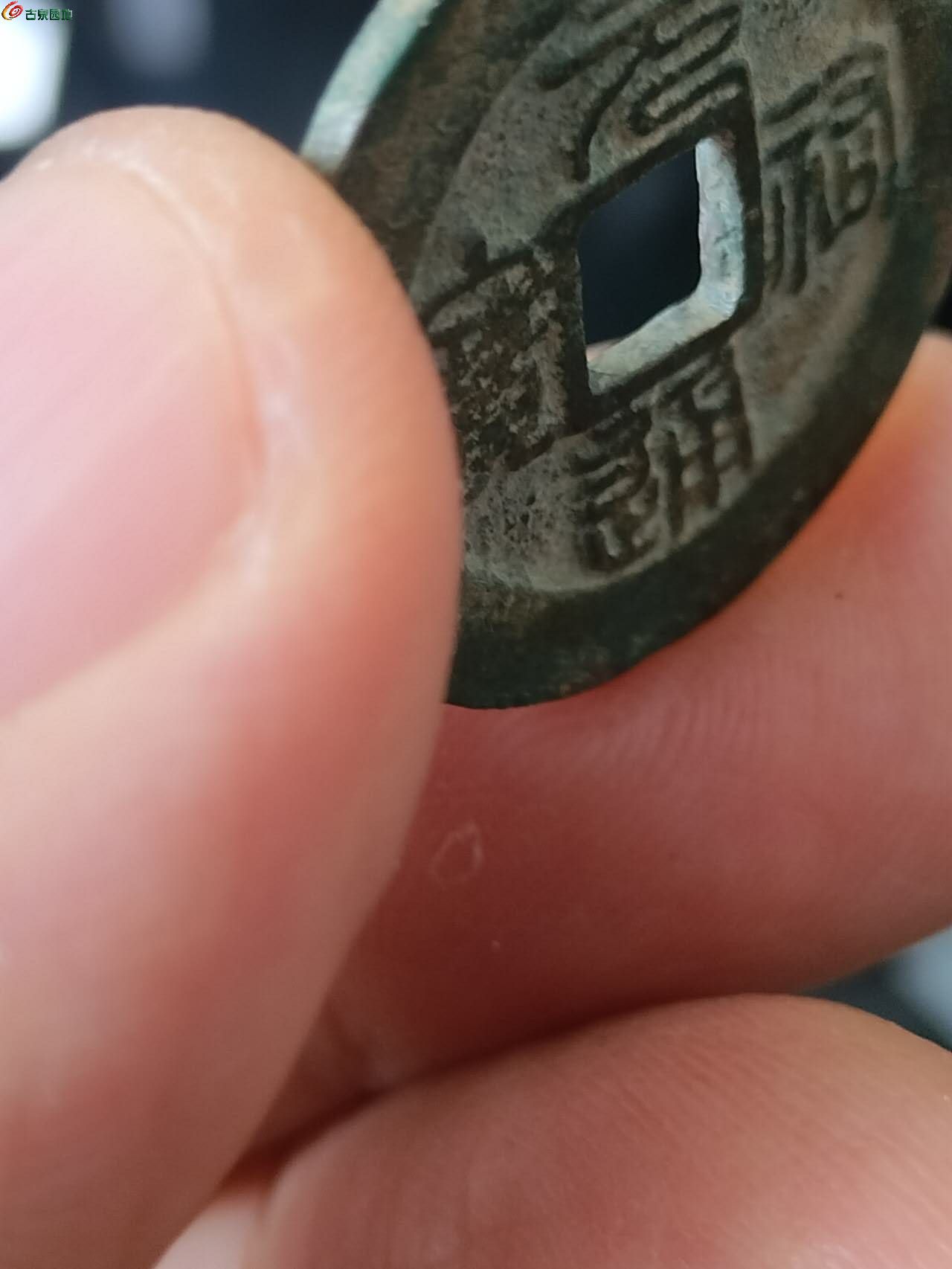48595.jpg