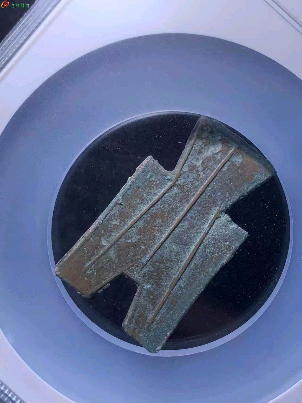 ͼƬ´ڴ򿪲鿴
