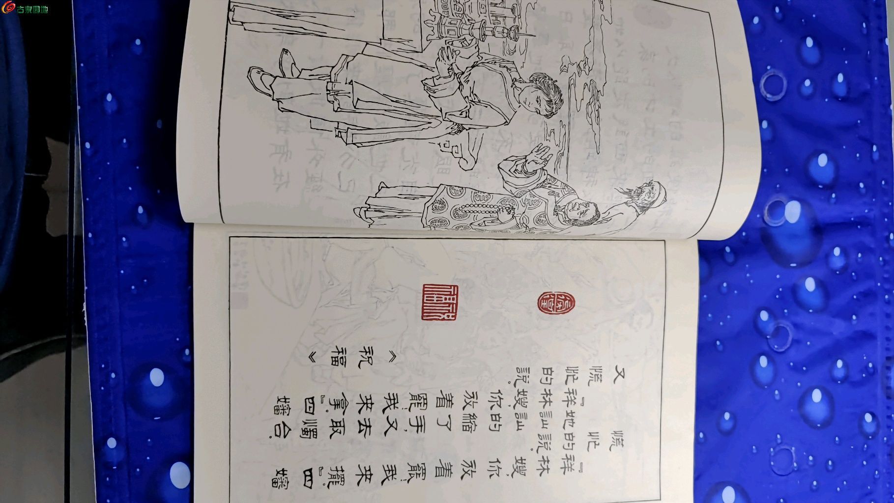 116,be55cd0d6076ea.jpg