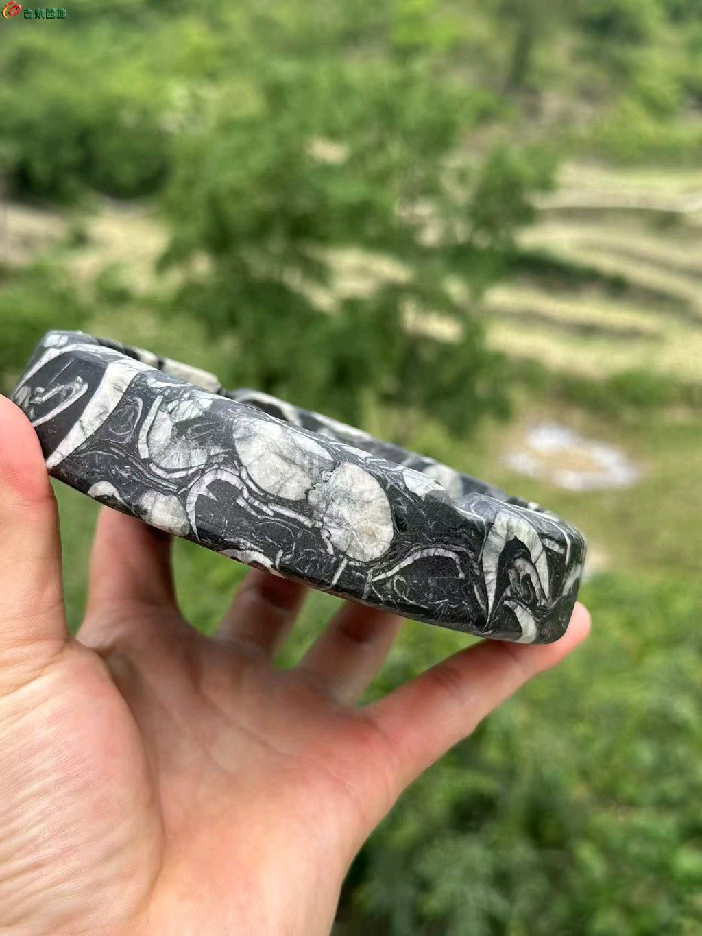 图片点击可在新窗口打开查看