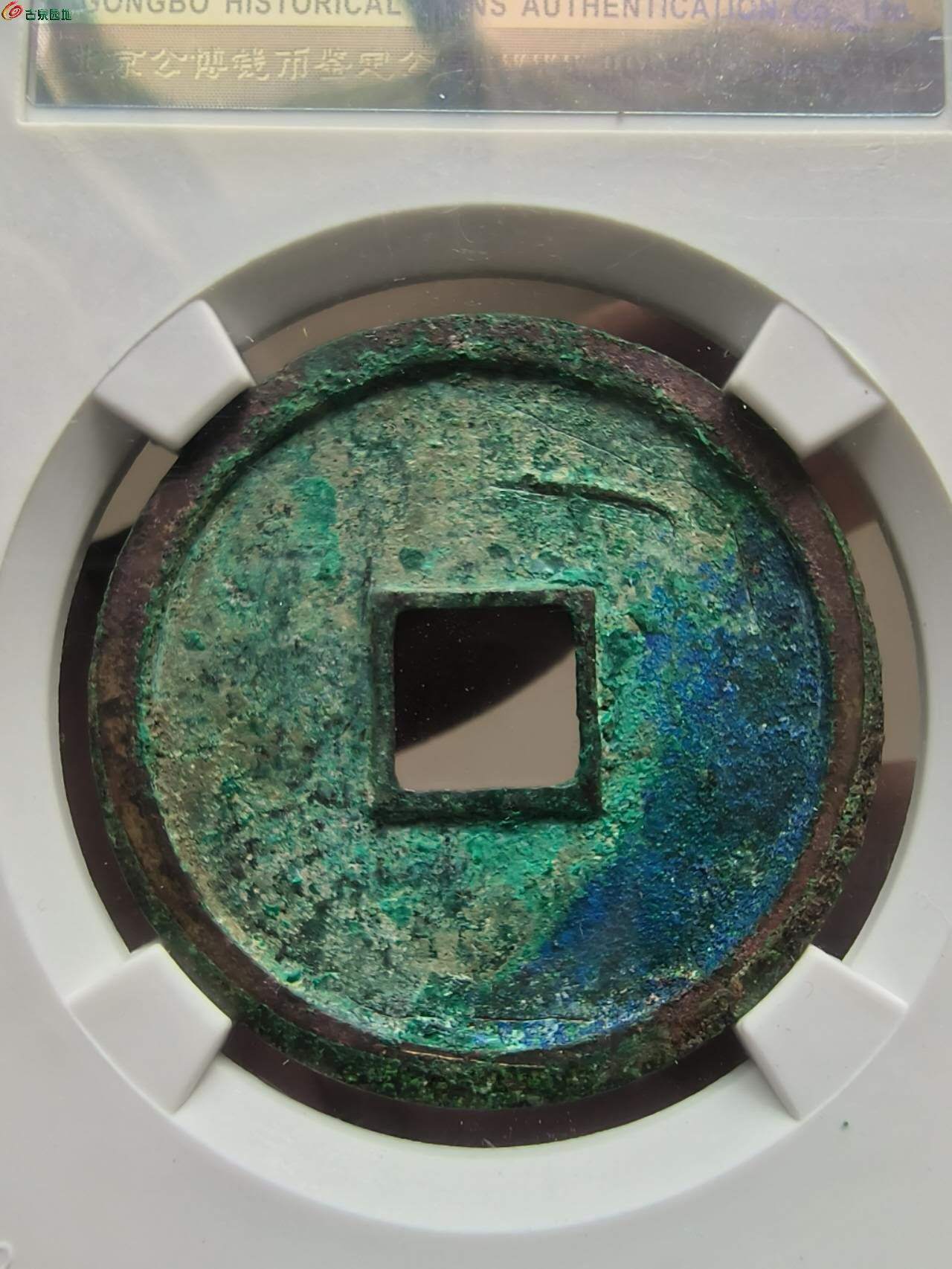 25750.jpg