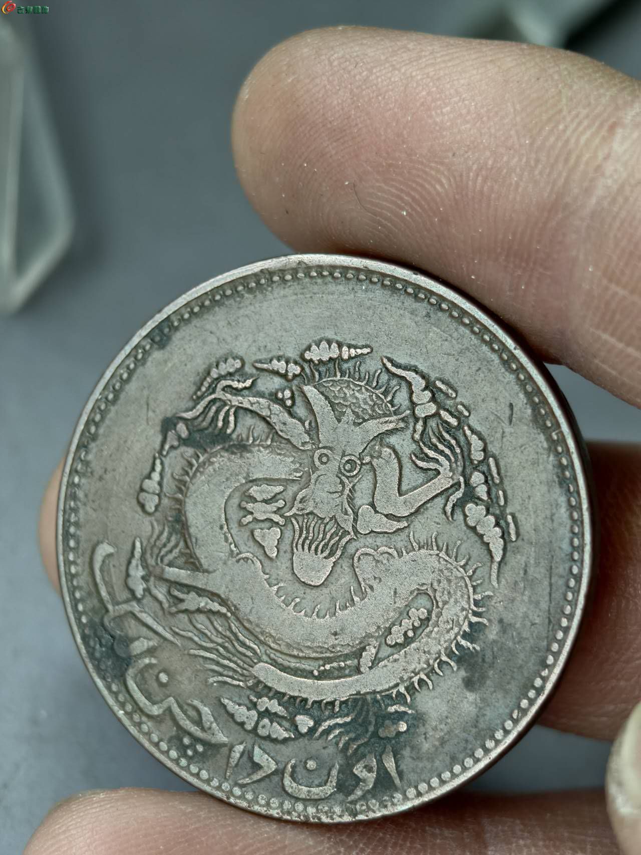 99447.jpg