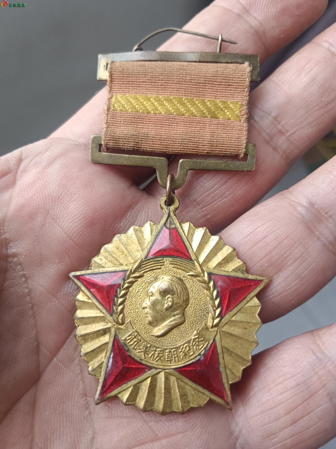 96461.jpg