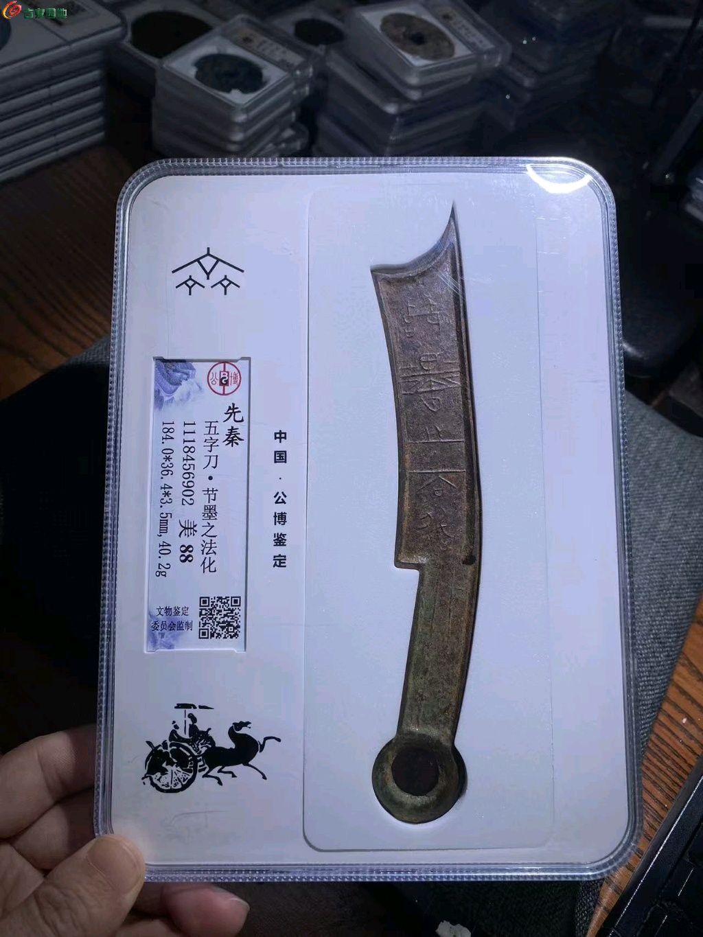 1748583417342.xfile.jpg