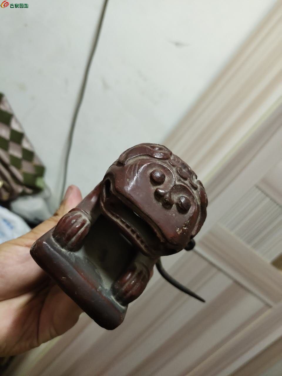 62751.jpg