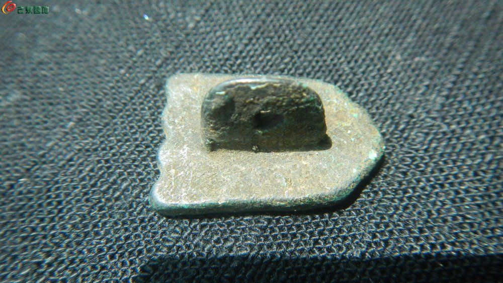 DSCN1008.JPG