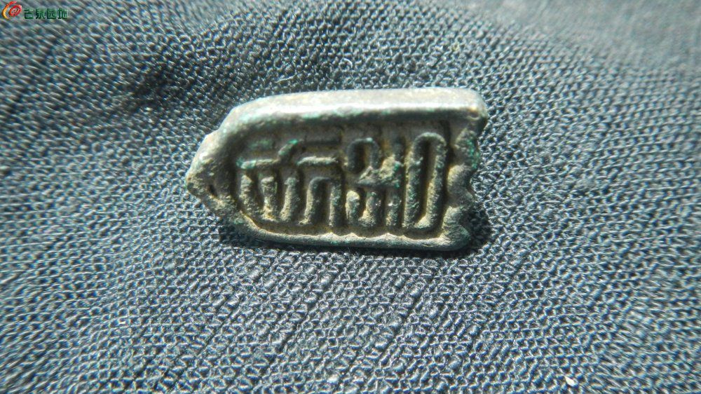 DSCN1013.JPG