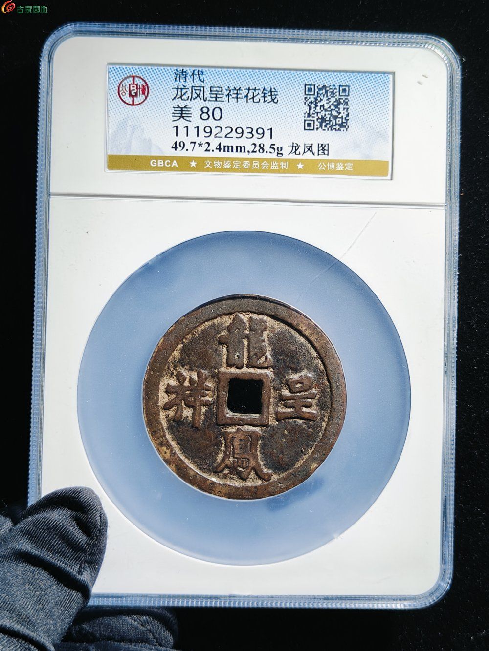 45867.jpg
