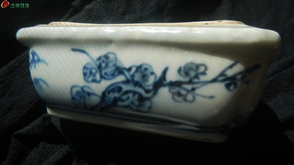 DSCN1269.JPG