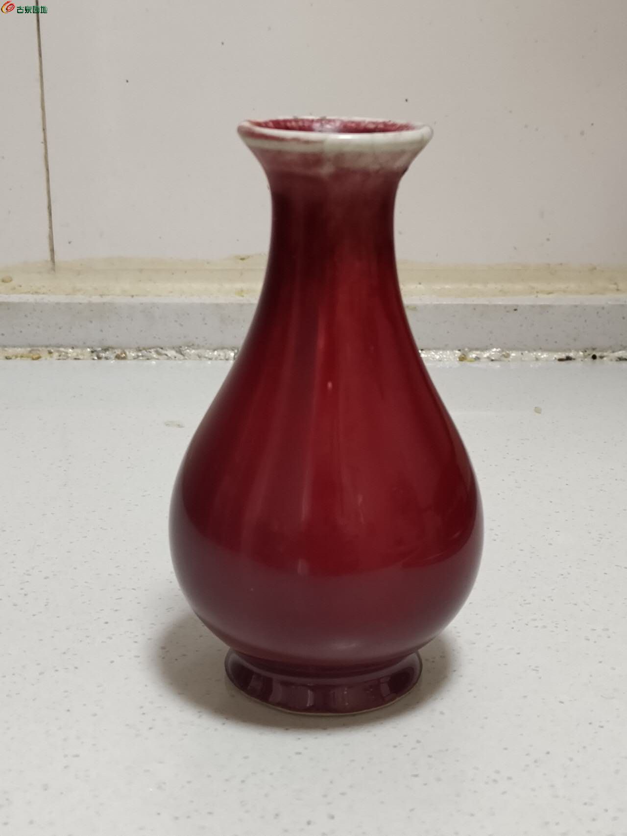79720.jpg