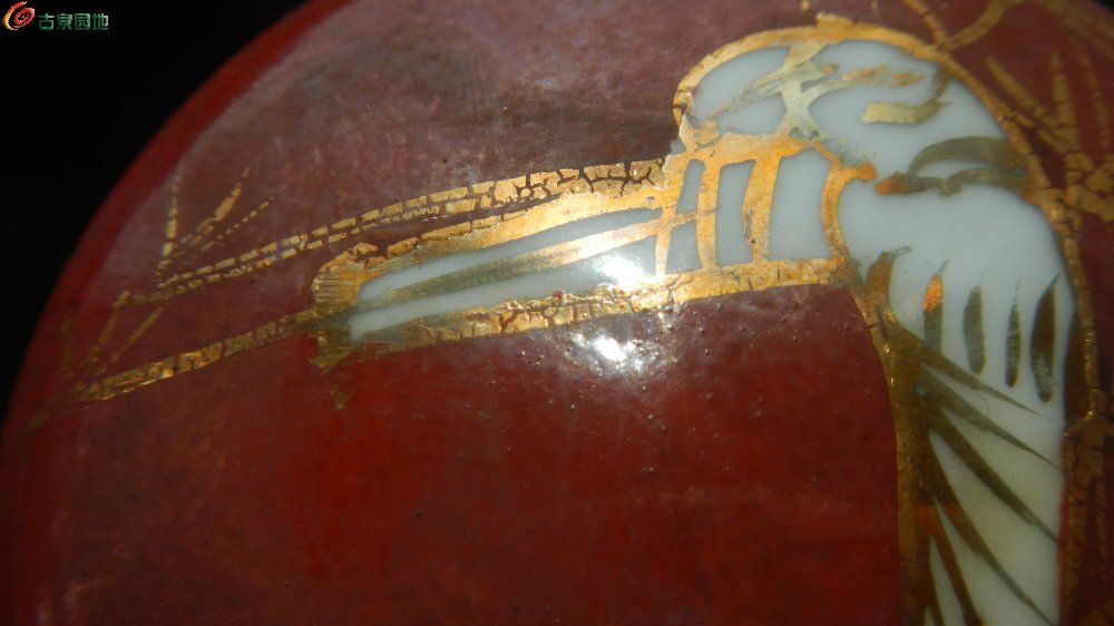 DSCN1300.JPG