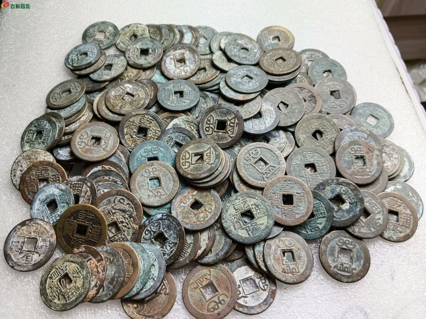 1748182664033.xfile.jpg