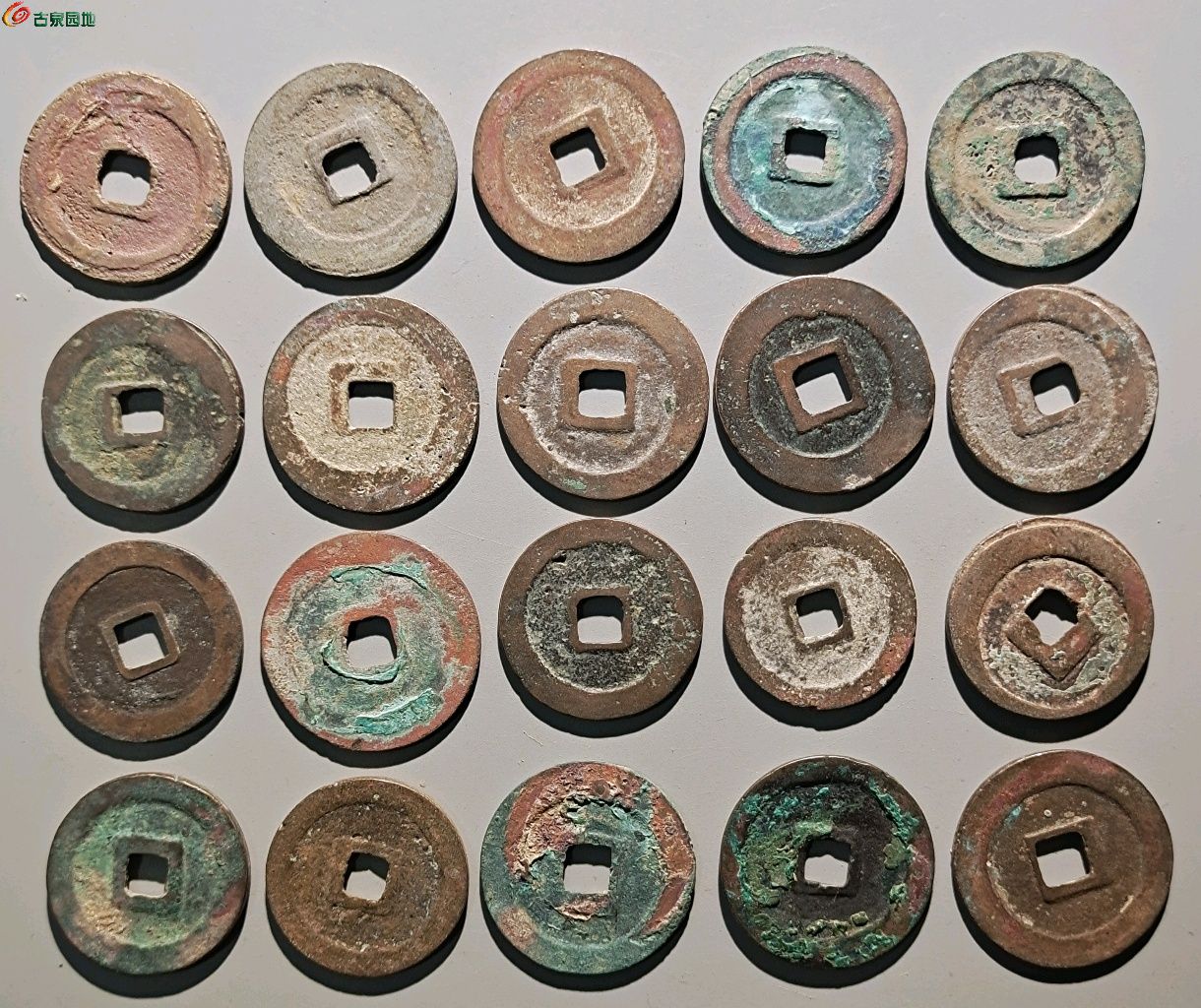 1748707456842.xfile.jpg