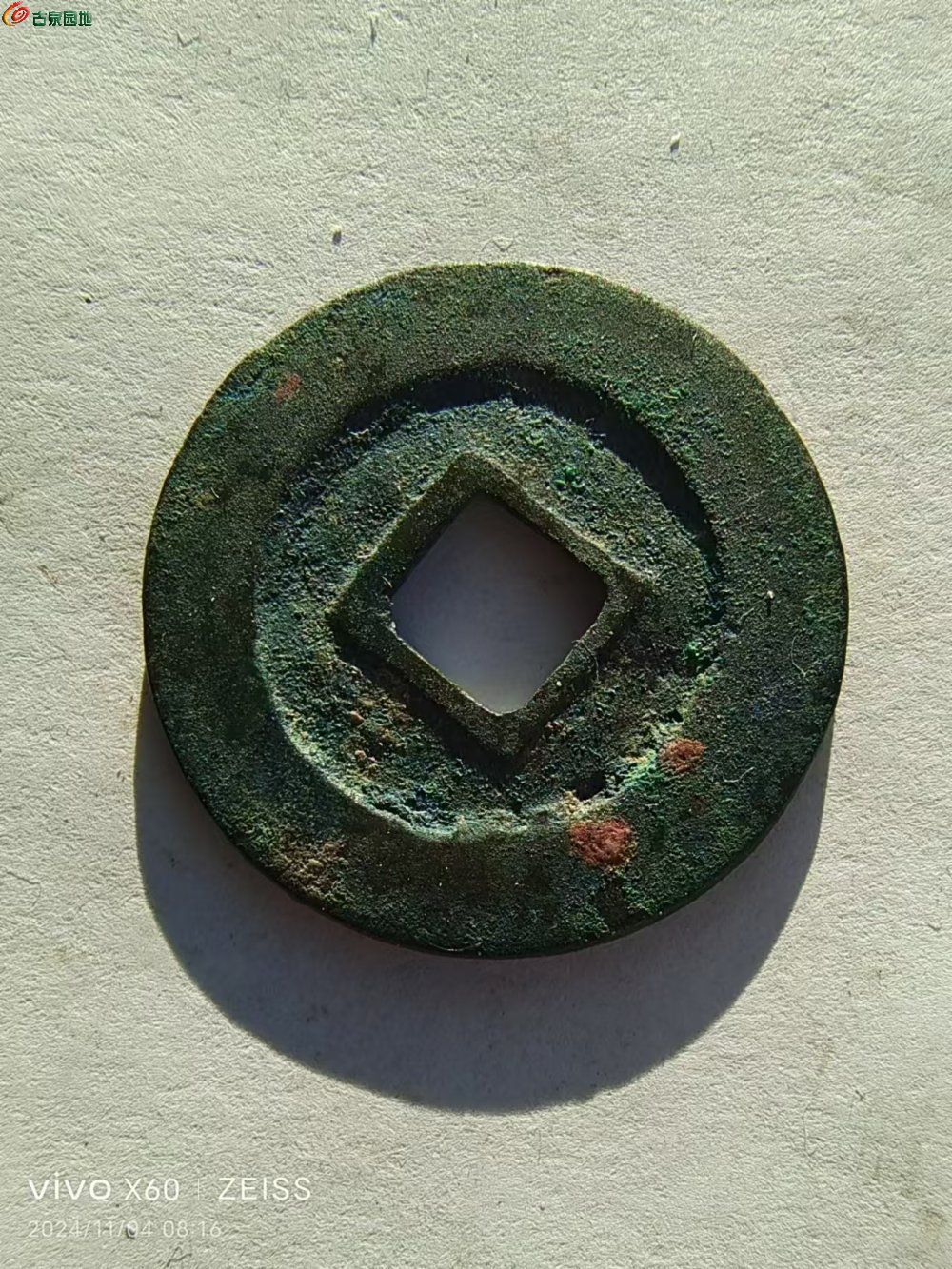 96.jpg