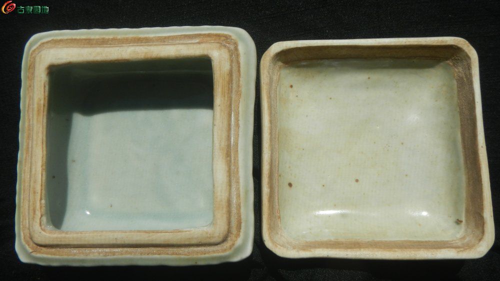 DSCN1264.JPG