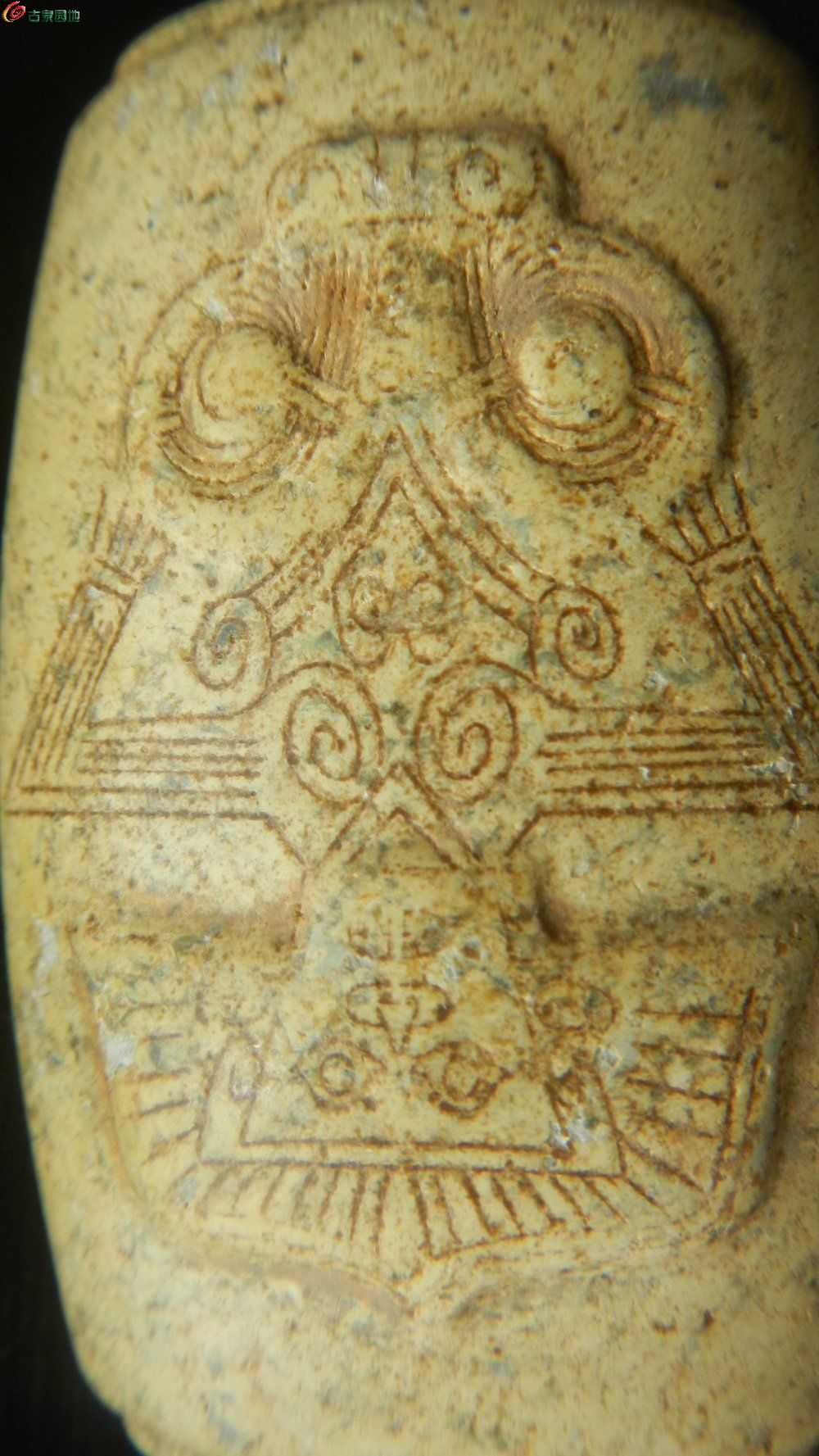 DSCN1286.JPG