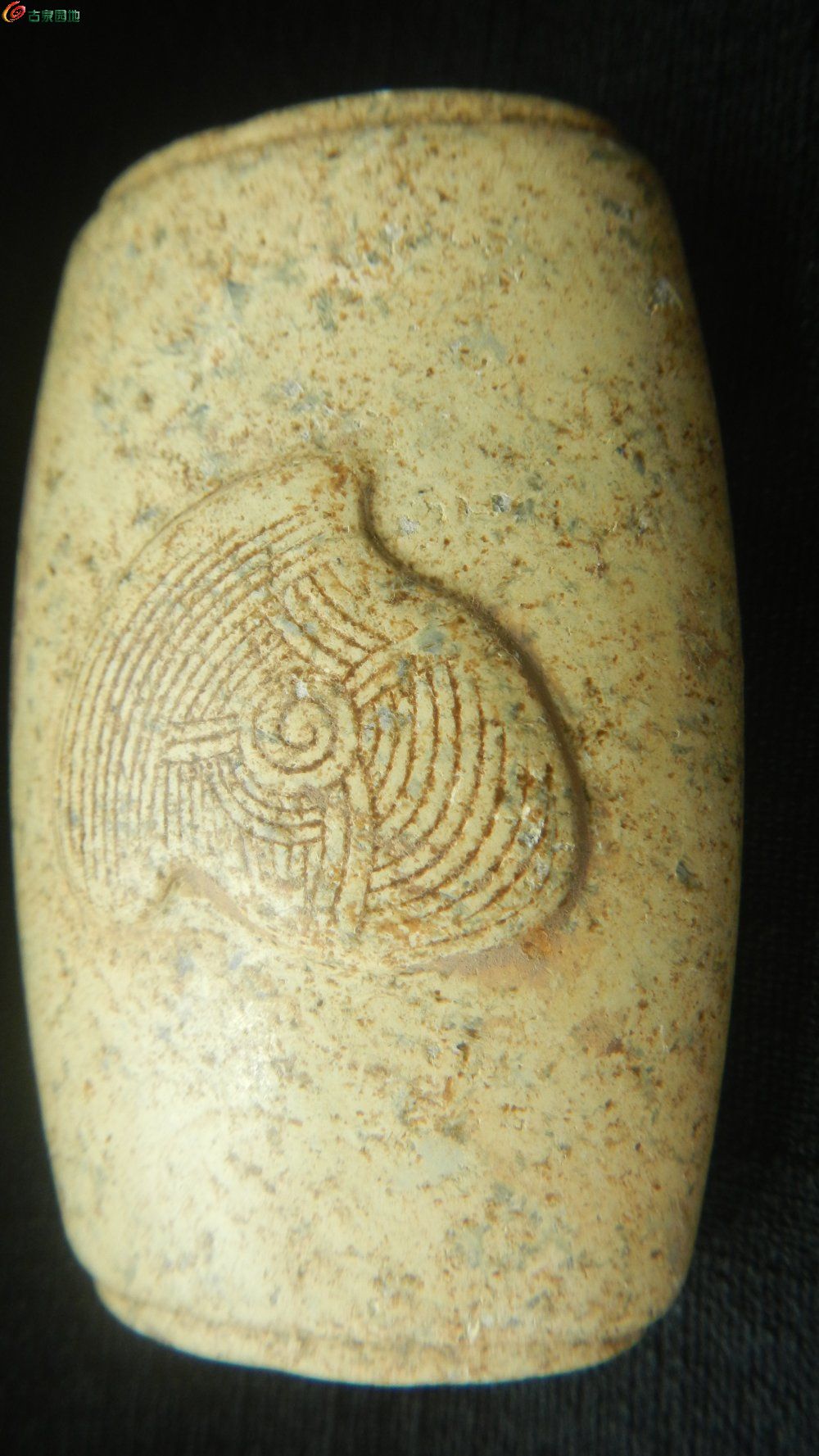 DSCN1282.JPG
