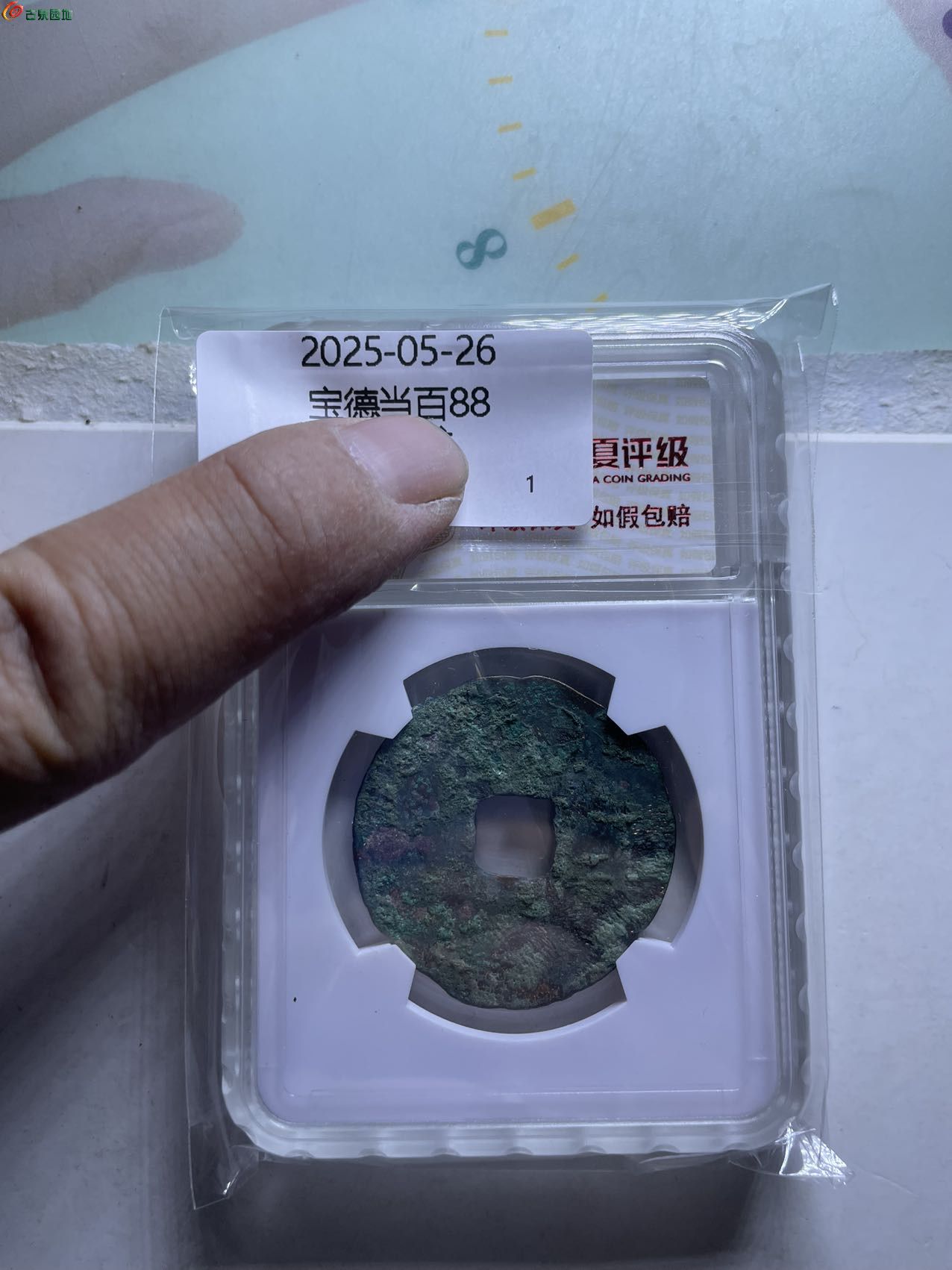 41607.jpg