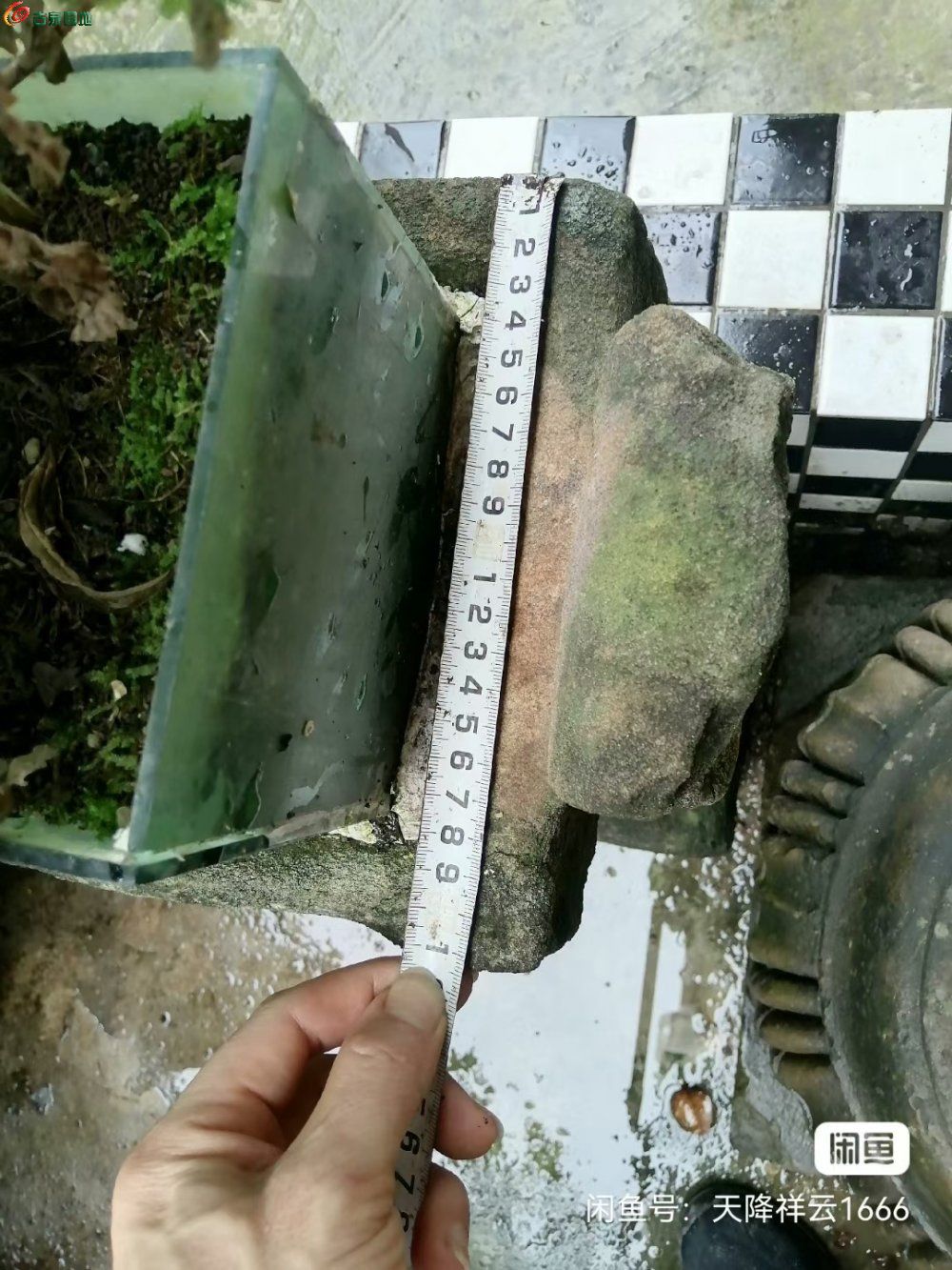 mmexport1744973467247.jpg