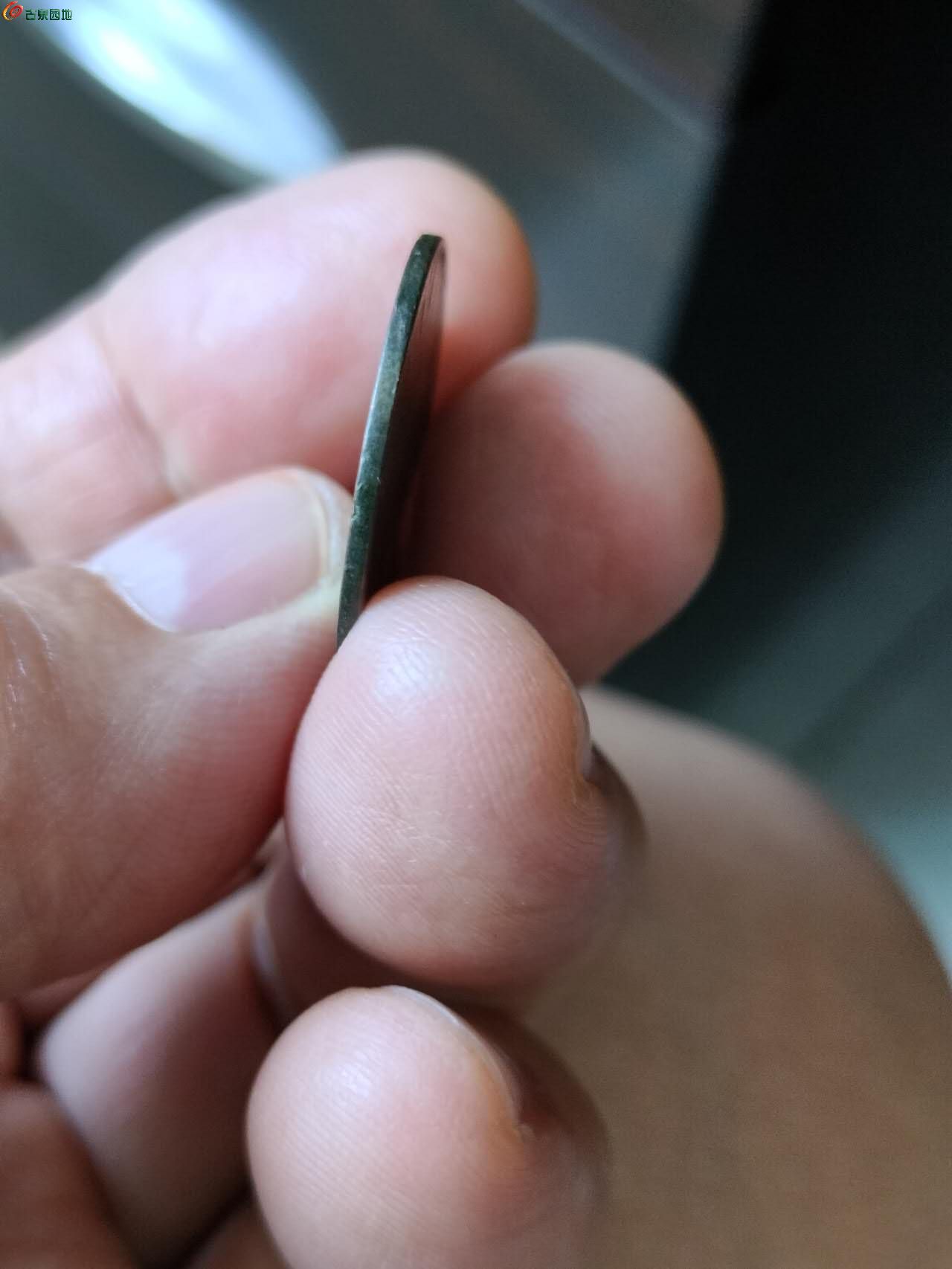 59215.jpg