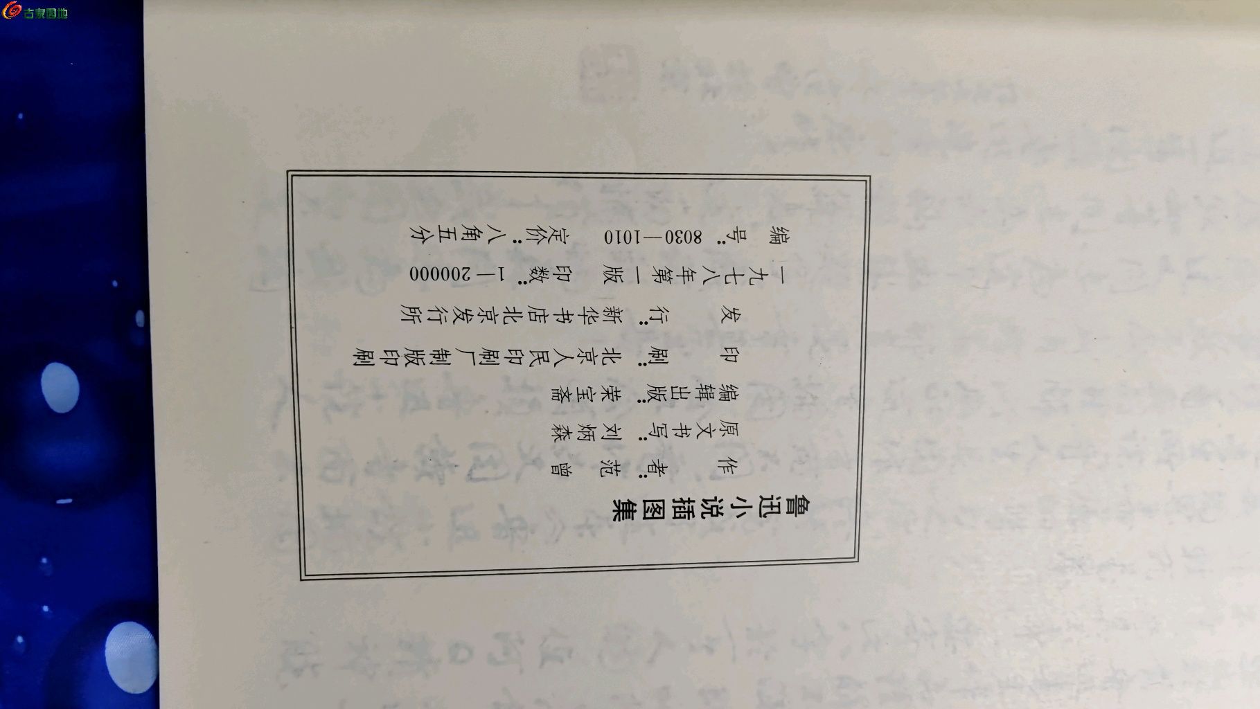 117,be55cf4e627a91.jpg