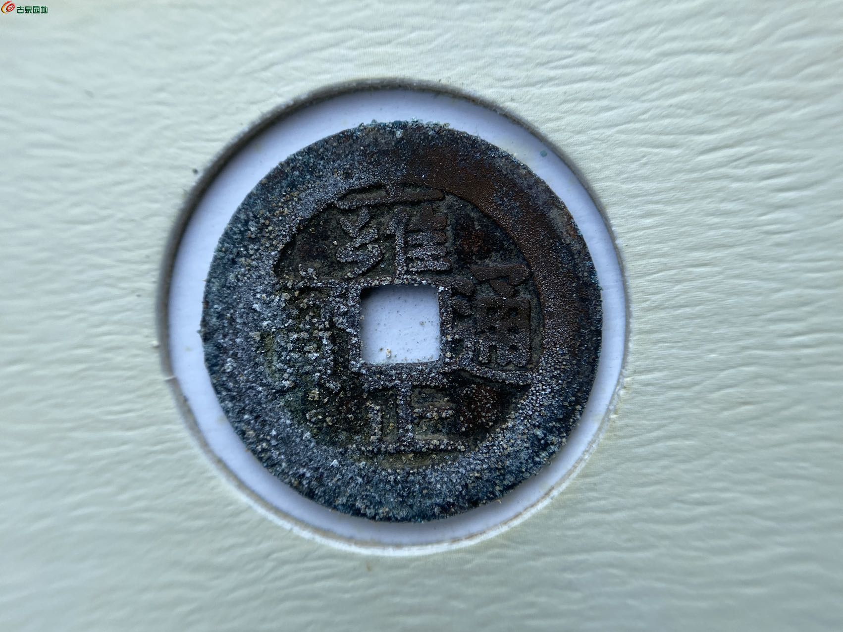 65766.jpg