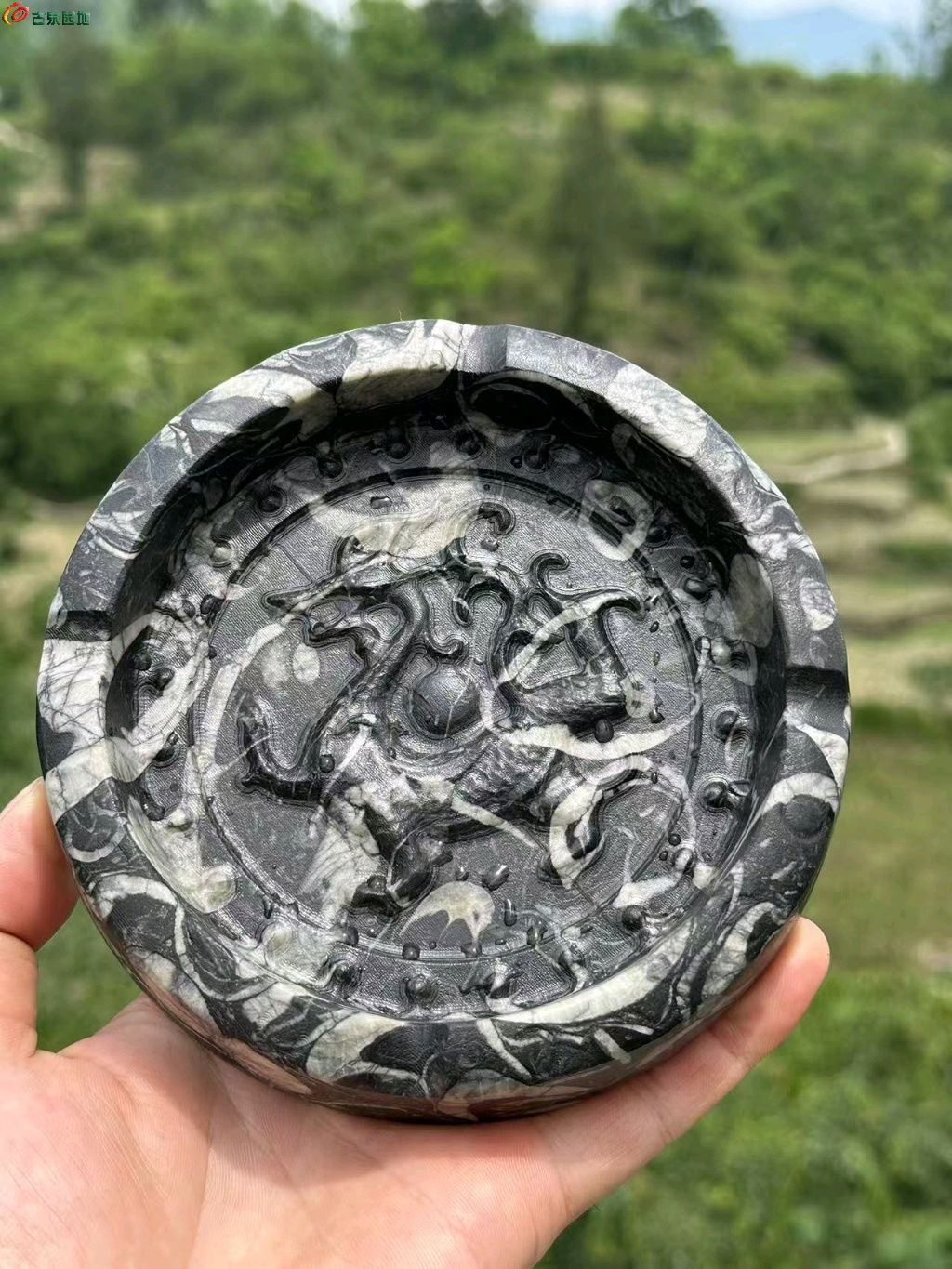 图片点击可在新窗口打开查看