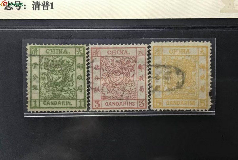 mmexport1747506905504.jpg