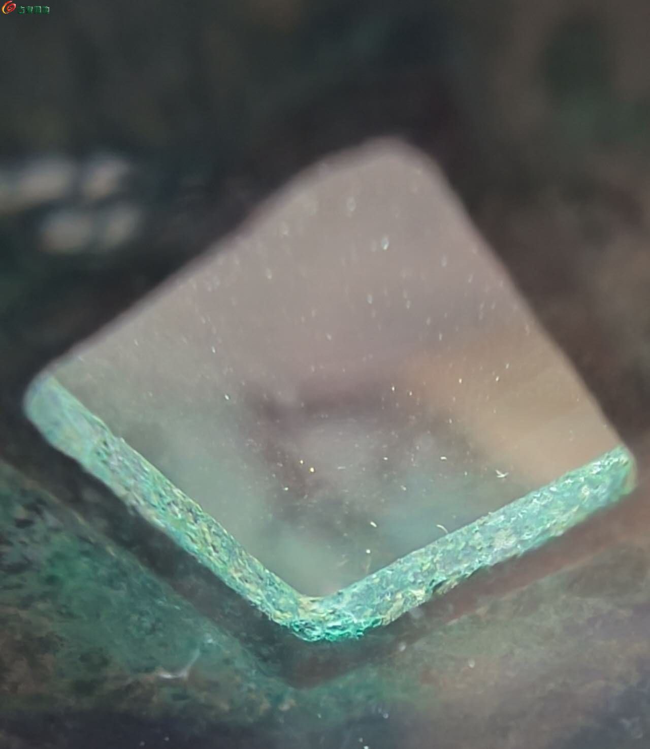 94920.jpg