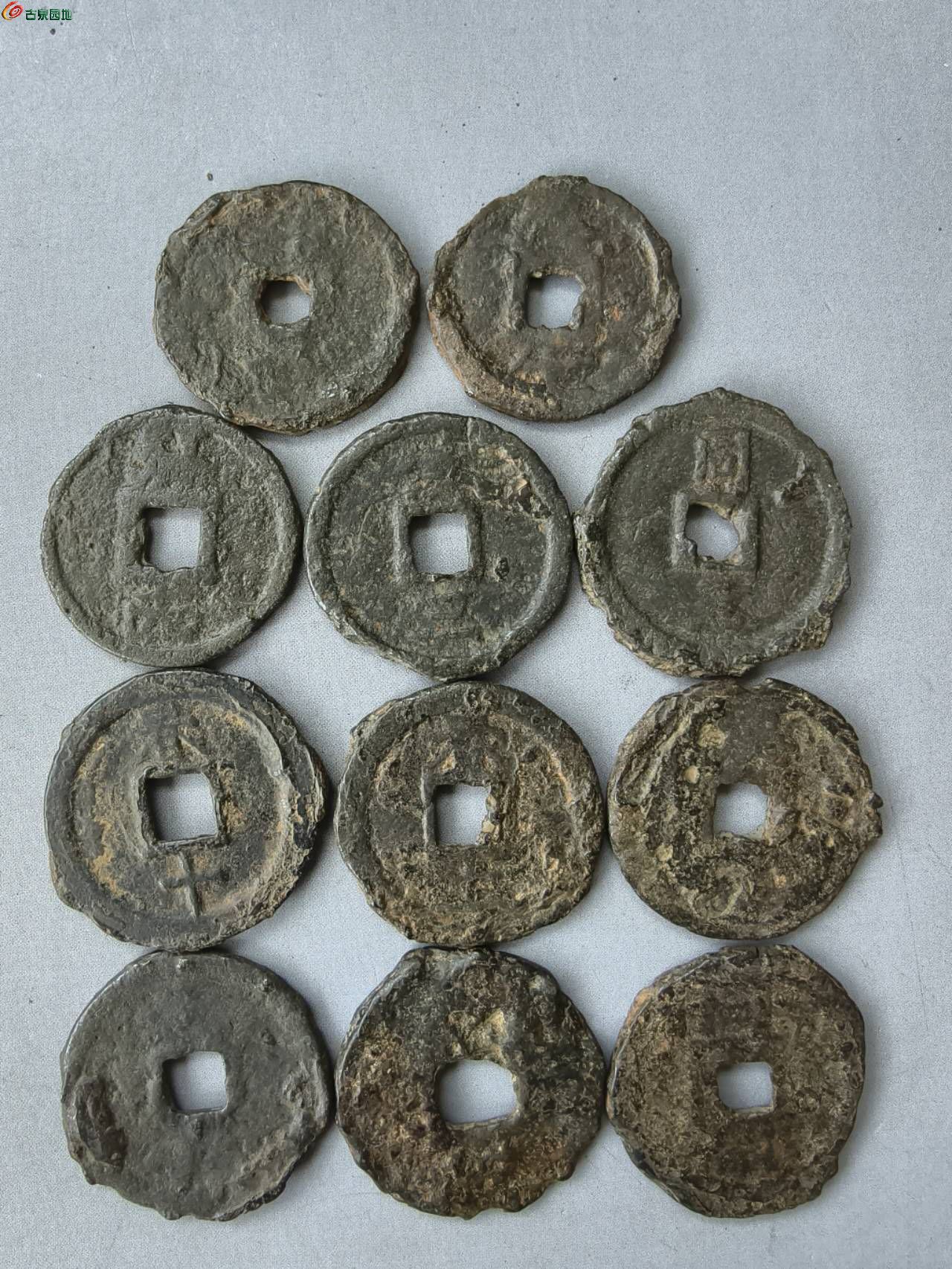 14436.jpg