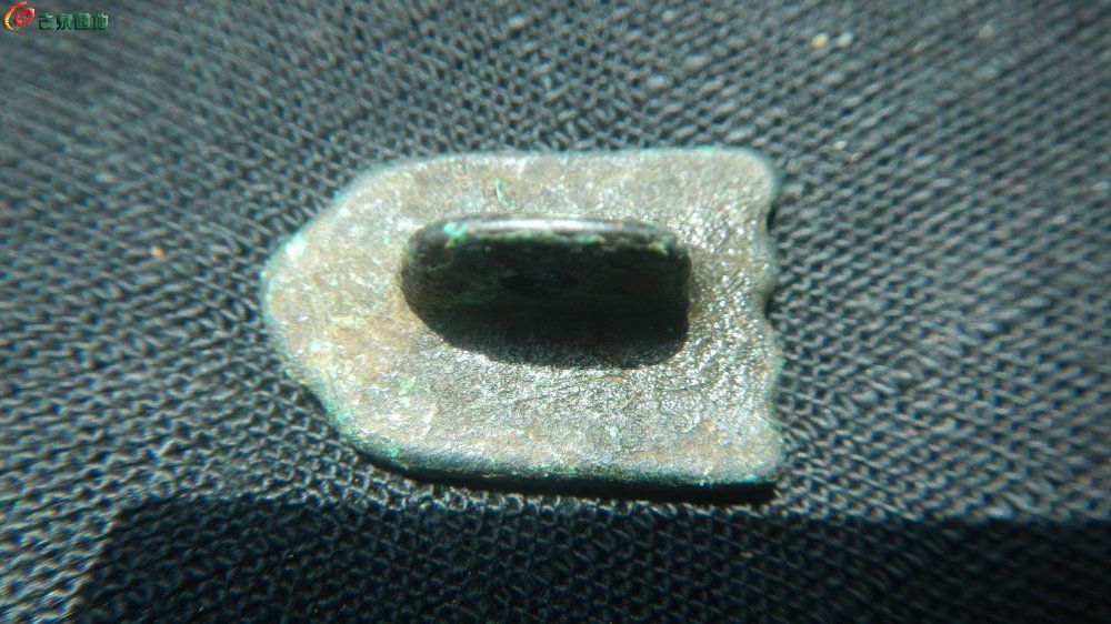 DSCN1011.JPG