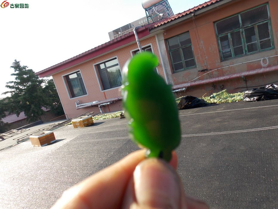 DSCN1571_调整大小.JPG