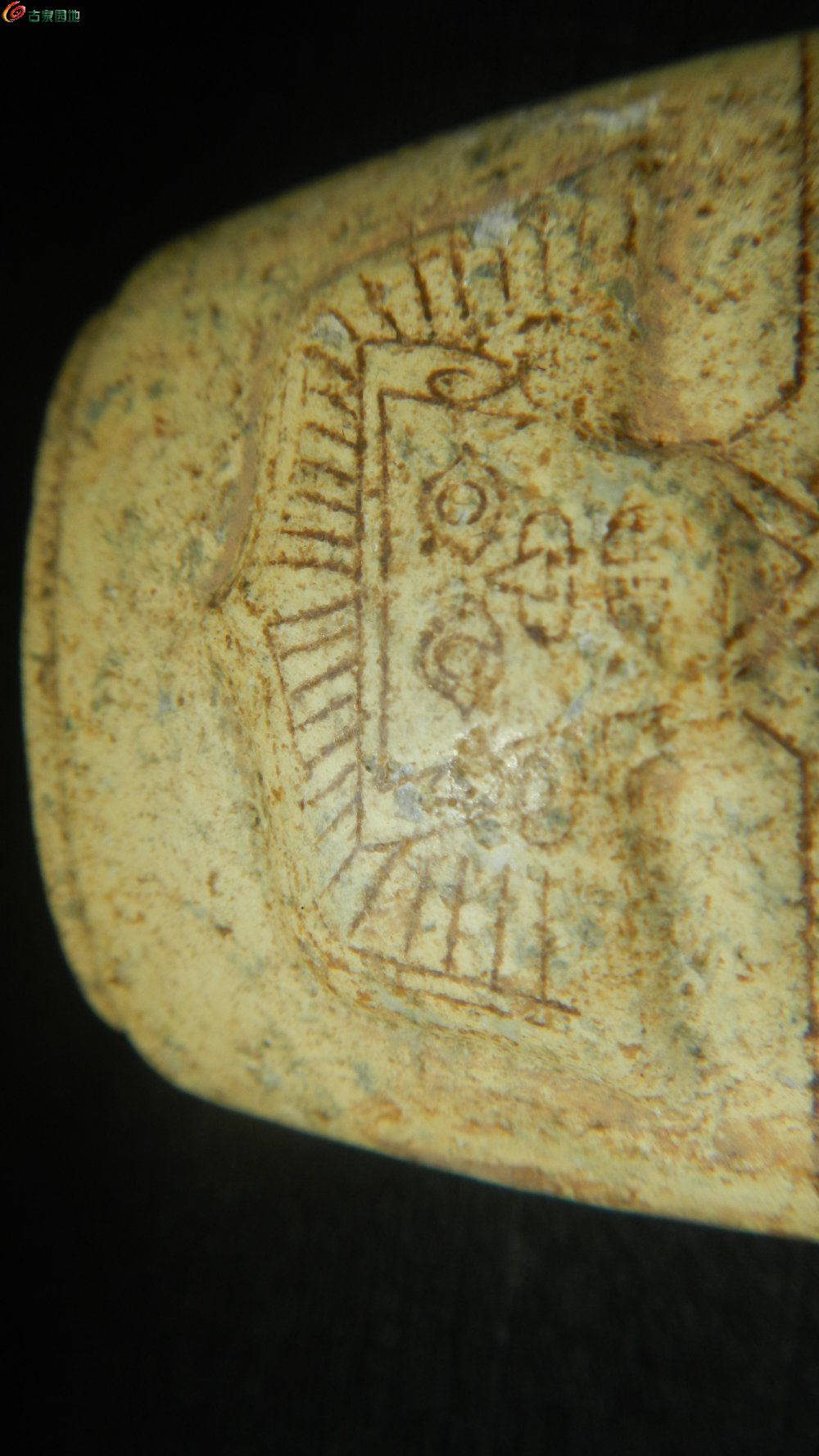 DSCN1292.JPG