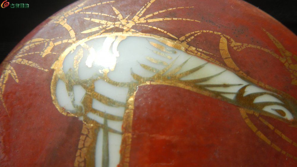 DSCN1301.JPG