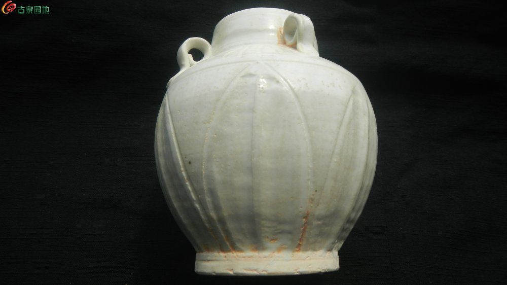 DSCN1330.JPG