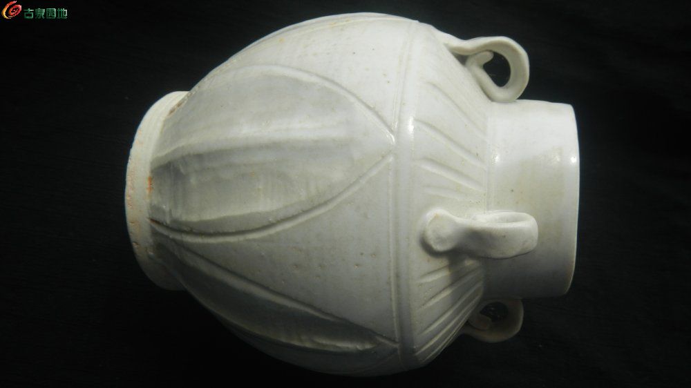 DSCN1336.JPG
