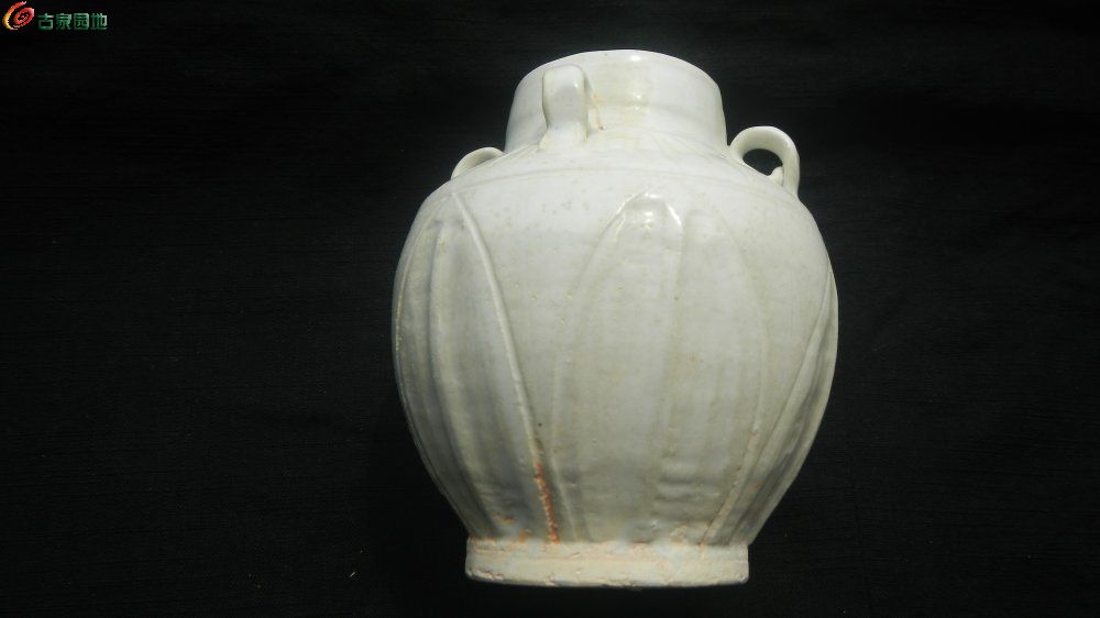 DSCN1328.JPG