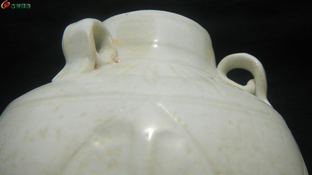 DSCN1329.JPG