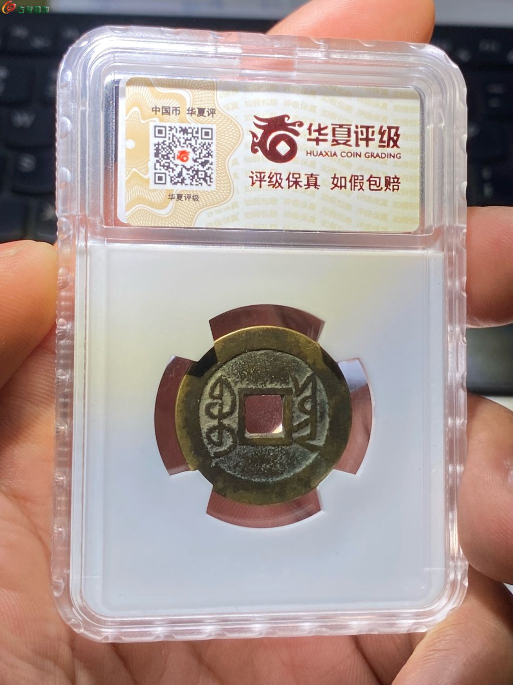 1747913519808.xfile.jpg