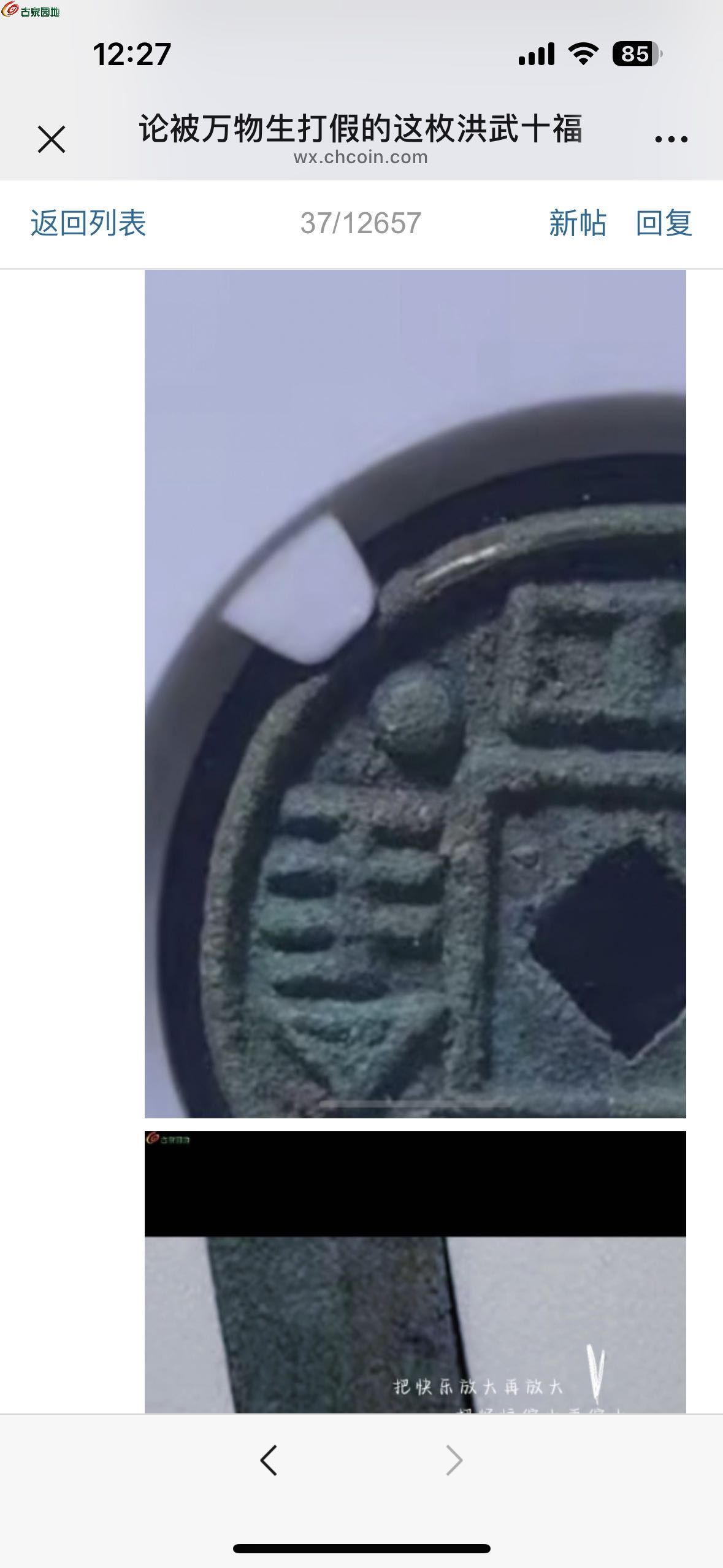 88496.jpg