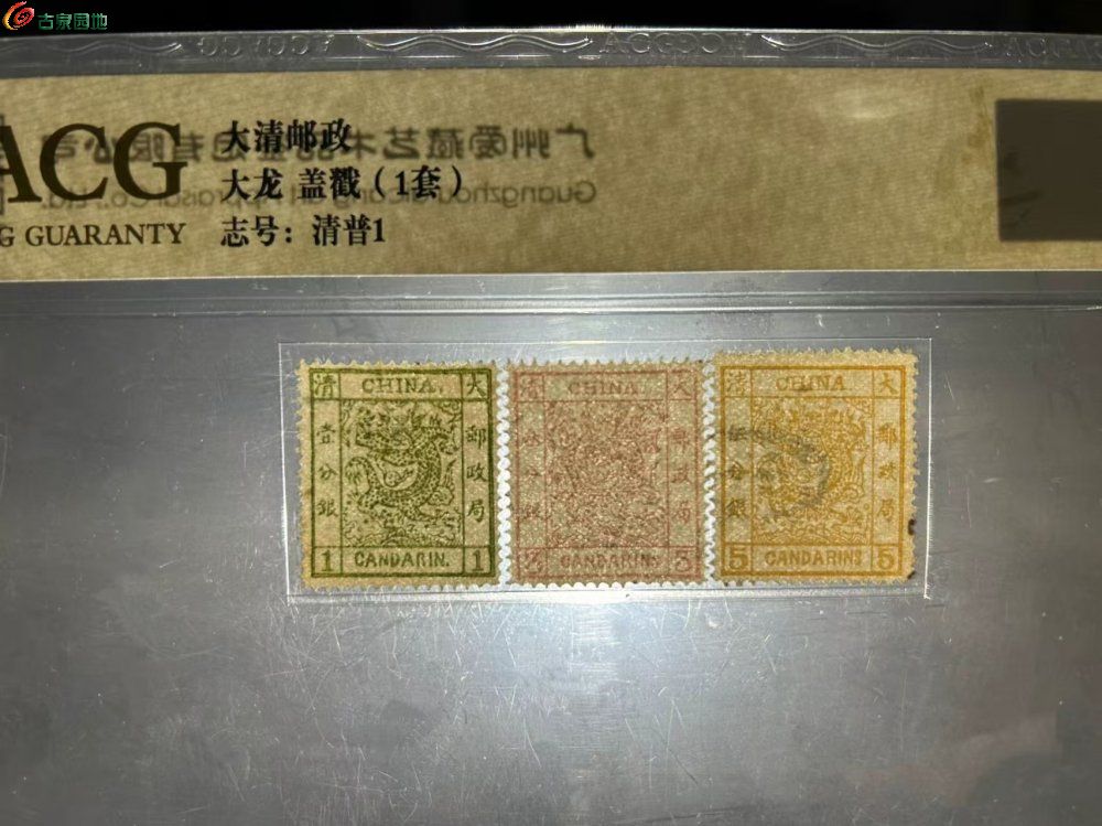 mmexport1747506911822.jpg