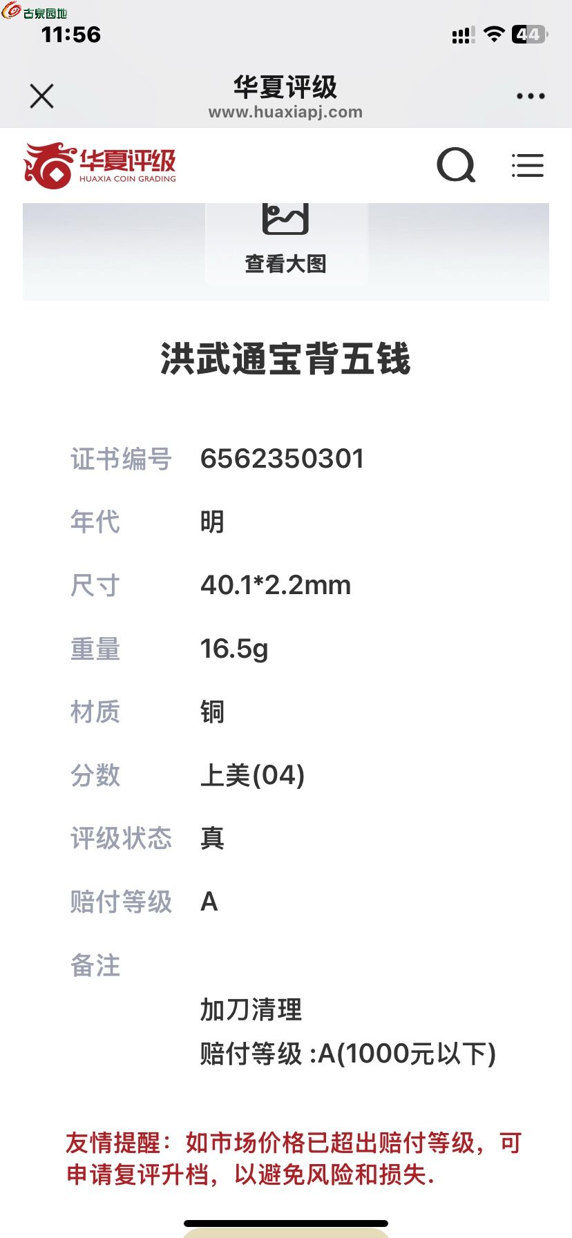 1748152120412.xfile.jpg