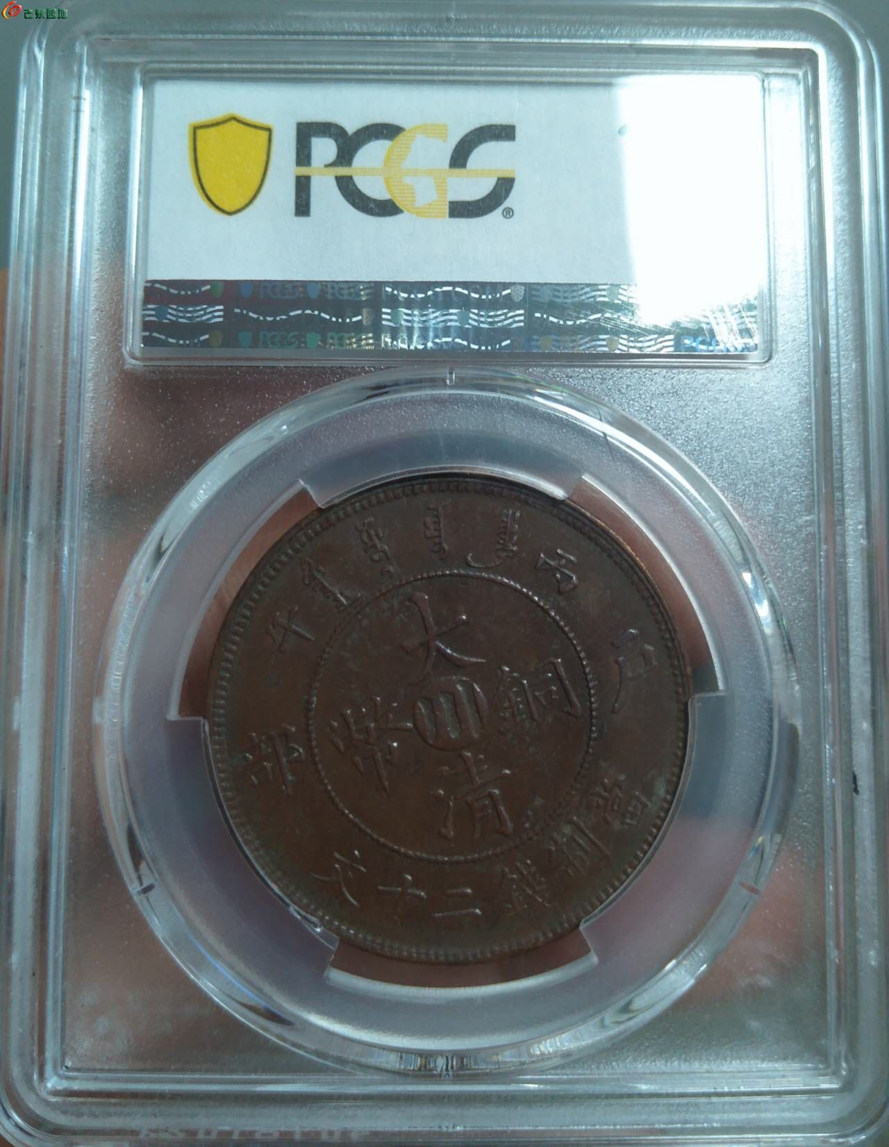 51764.jpg