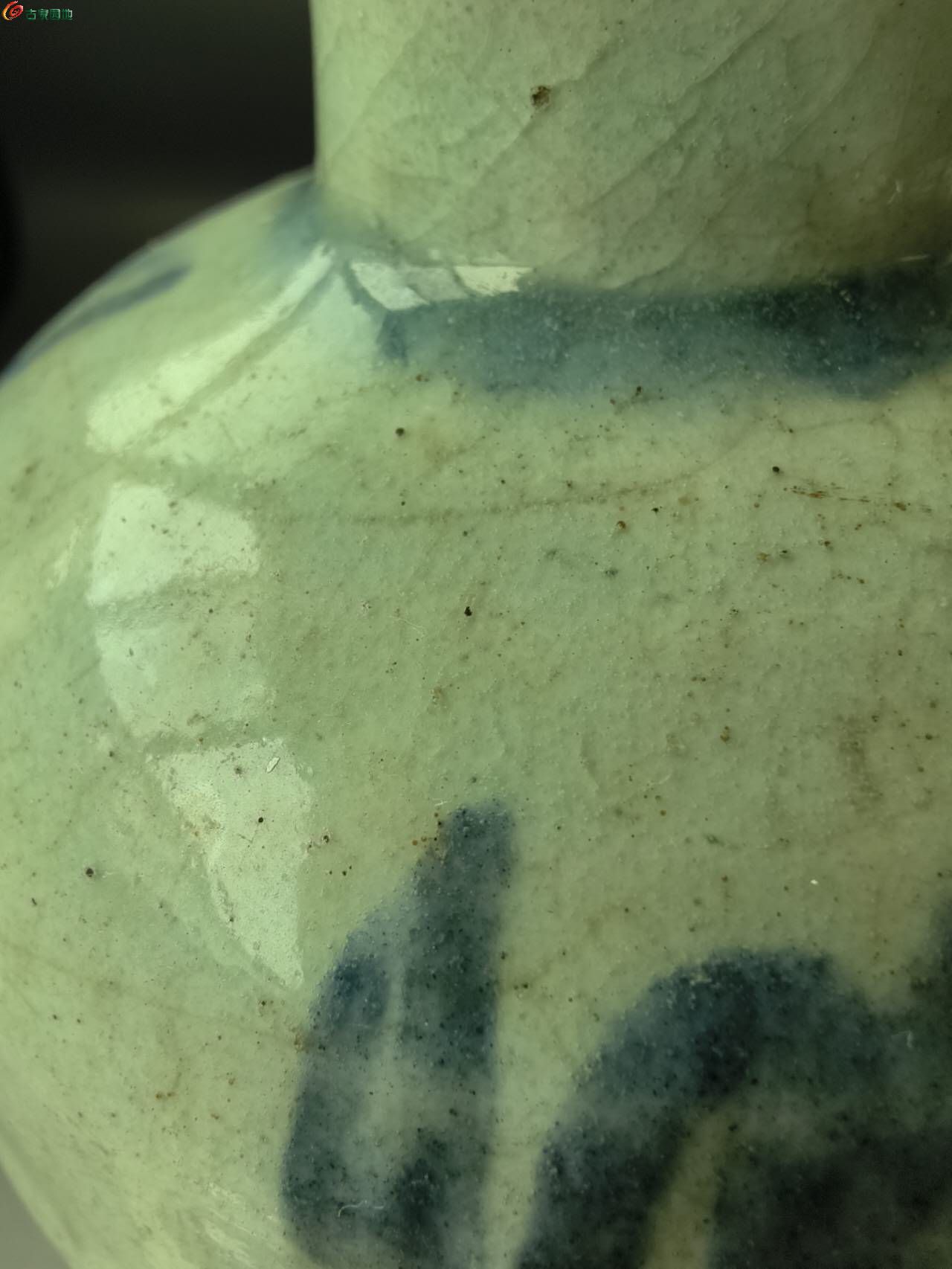 77138.jpg