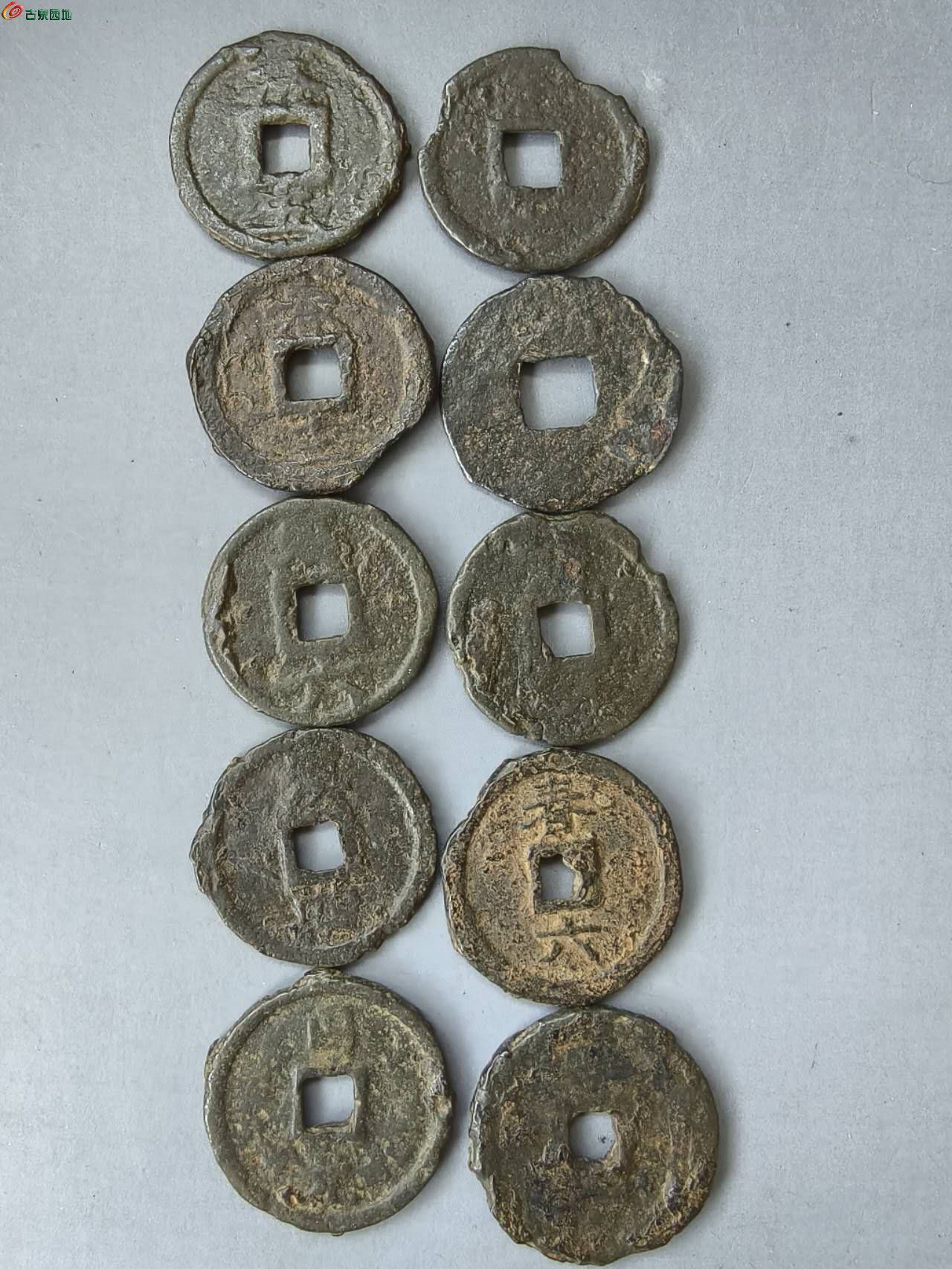 85761.jpg