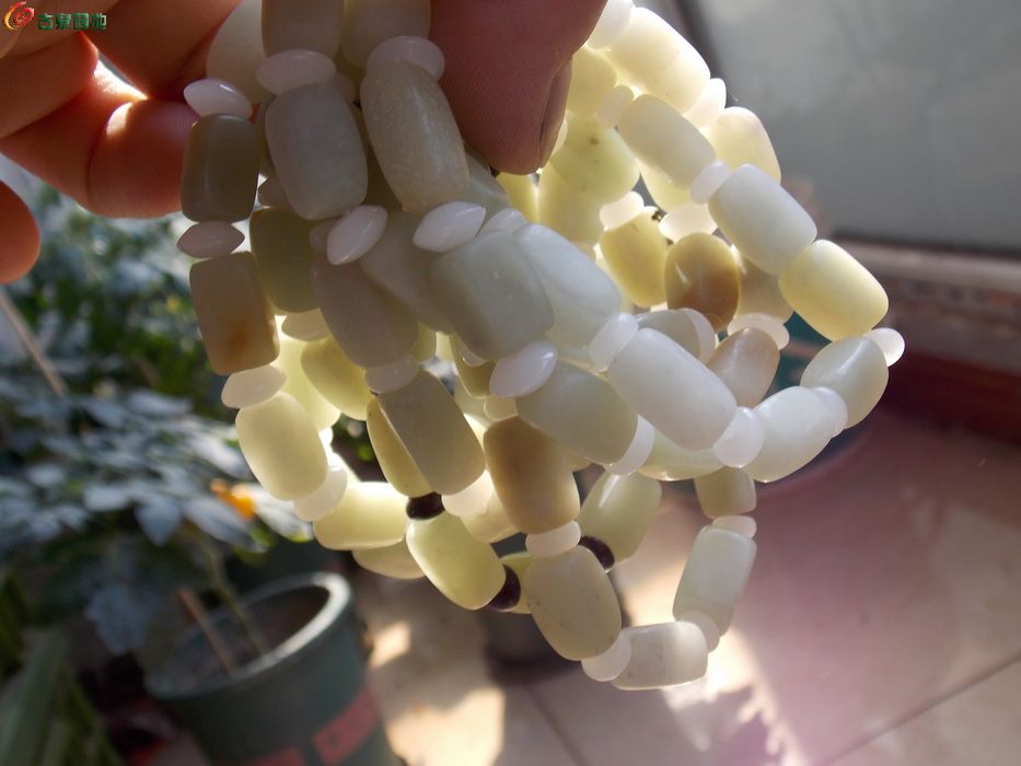 DSCN1369_调整大小.JPG