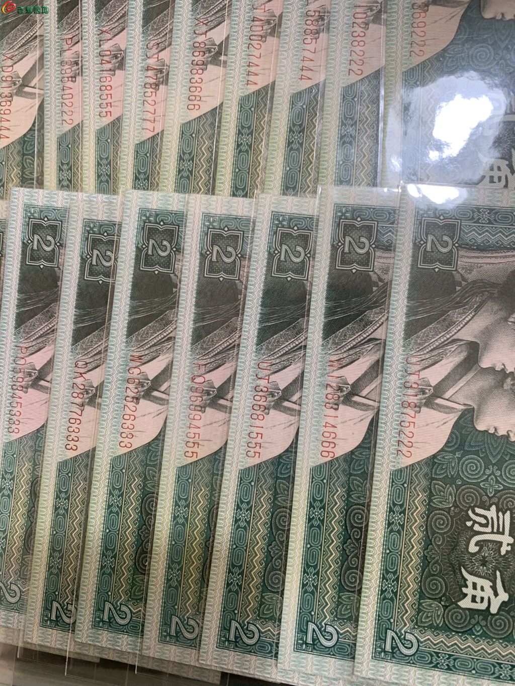 1748648172294.xfile.jpg
